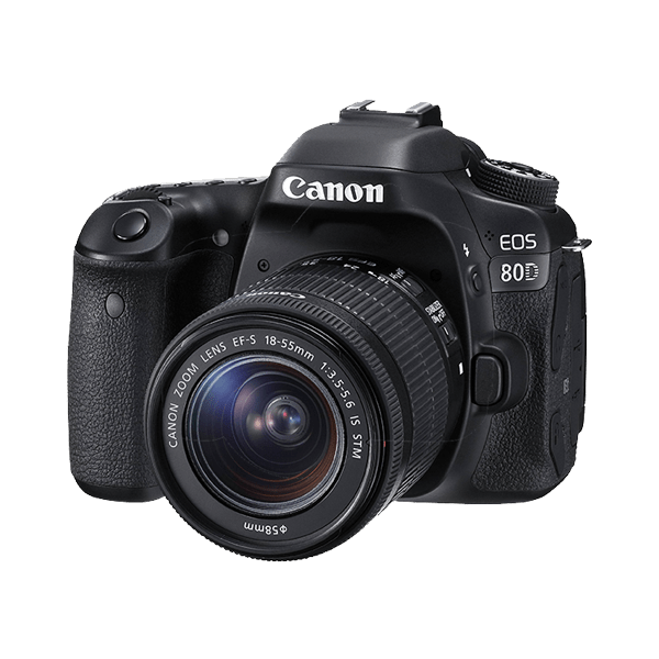 Suspendisse volutpat massa - Image 3